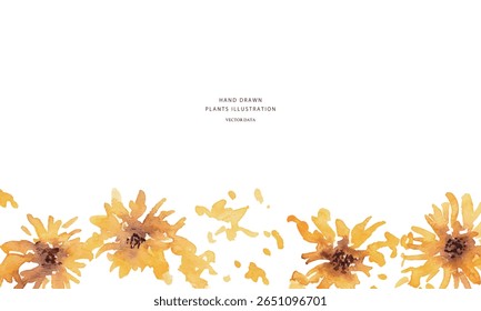 Vector illustration of sunflowers. Summer sunflower background with watercolor touch.