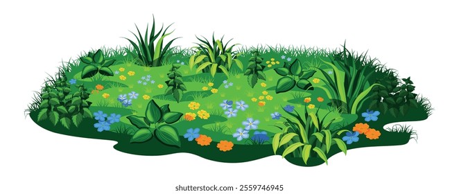 Vector illustration of a sunny summer meadow. Cartoon scene of a beautiful summer meadow with green grass, plants, leaves of different sizes, yellow and blue flowers isolated on white background.