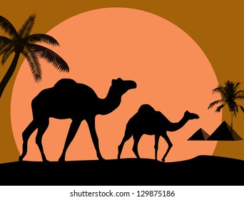 Vector illustration of sunset in african desert with camel and palms