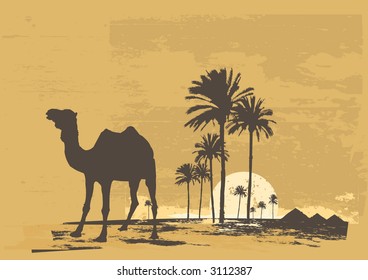 Vector illustration of  sunset in african desert. Camel and palms on grunge background