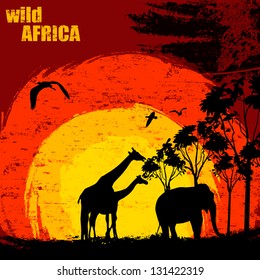 Vector illustration of sunset in wild africa. Elephant and giraffes on grunge background
