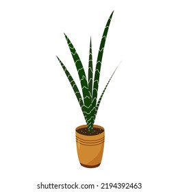 Vektorgrafik. Sonnensegel grün mit hellen Streifen auf den Blättern in einem sandfarbenen Topf. Einziger Gegenstand auf weißem Hintergrund. Fette, Sukkulent, Indoor-Pflanze, Blumentopf.