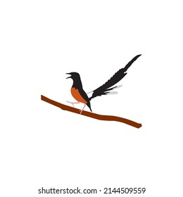 Vector illustration of a super chirping bird. Can be used as a very attractive Logo, Brand and Mascot.