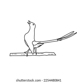 Vector illustration of a super chirping bird. Can be used as a very attractive Logo, Brand and Mascot.