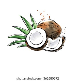 Vector illustration of super food Coconut. Organic healthy food. Black outlines and bright watercolor stains, splashes and drips. Hand drawn isolated objects on white background.