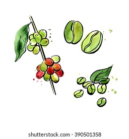 Vector illustration of super food Green coffee. Organic healthy dietary supplement. Black outlines and bright colorful watercolor stains, splashes and drips. Isolated on white background.