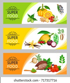 Plantilla de banner superalimentario de ilustración de vector. Producto natural de desintoxicación sana de camu camu, garcinia cambogia y maca. Carob, jengibre, moringa, lucuma, bayas coji, mangosteen, acai, guarana y noni.