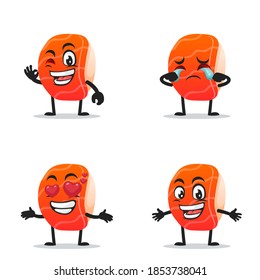 vector illustration of sushi mascot or character collection set with expression theme