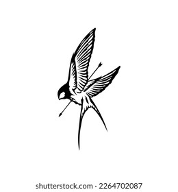  vector illustration of a swallow with an arrow