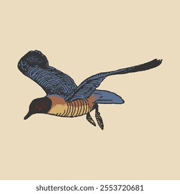 vector illustration of a swallow in flight