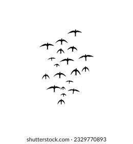 vector illustration of swallows flying in flock isolated on white background
