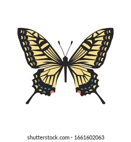 Vector Illustration | Swallowtail butterfly