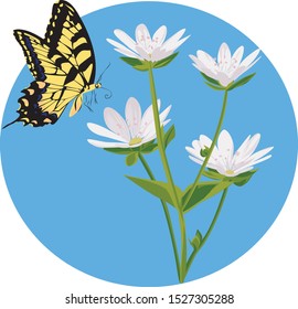 Vector illustration of a swallowtail butterfly sits ona wildflower