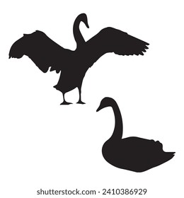 Vector Illustration of Swan Silhouette
