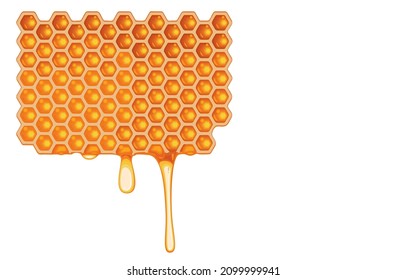 Vector illustration of sweet honey falling from honeycomb,honey texture close up in detail,natural healthy food,fresh eco product,isolated on white,Health benefits of honey food and beauty concept.