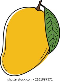 Vector illustration of sweet mango.Mango illustration used for magazines, books, food applications, posters, menu covers, web pages, advertising, marketing, icon, logo.