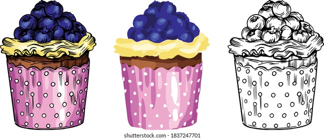 Vector illustration. Sweet pastries, delicious cakes, bright colors and juicy details. Cakes, muffins, desserts, cream, berries and fruty.