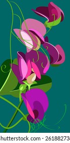 vector illustration of a sweet pea flower. Examples of banners and leaflets. pattern floral background