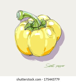 vector illustration of sweet pepper