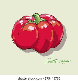 vector illustration of sweet pepper 