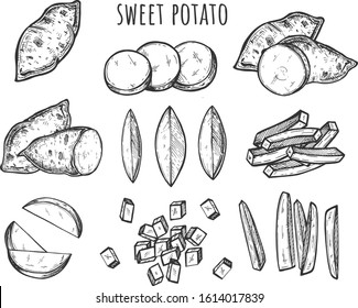 Vector illustration of sweet potato cutting and slicing styles. Full, halves, wedges, slices, cubes, sticks, blocks. Great for menu, label, icon. Vintage hand drawn style.