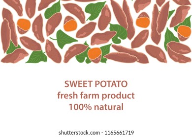 vector illustration of sweet potato and leaf design background white and vegetable and text fresh farm product 100% natural EPS10