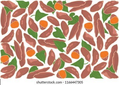 vector illustration of sweet potato and leaf design background white and vegetable EPS10