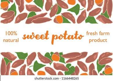 vector illustration of sweet potato and leaf design with lettering sweet potato background white and vegetable and text fresh farm product 100 percent natural EPS10