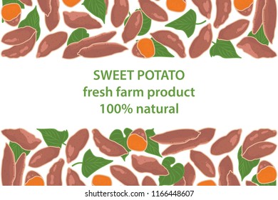 vector illustration of sweet potato and leaf design background white and vegetable and text fresh farm product 100 percent natural EPS10