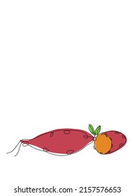 Vector illustration of a sweet potato. One line art design. On a white background.