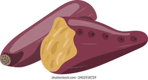 Ilustración vectorial de la batata con sección transversal visible 