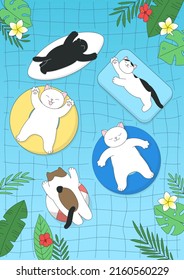 Vector illustration of swimming cats.