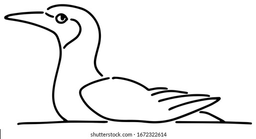 Vector illustration of a swimming cormorant