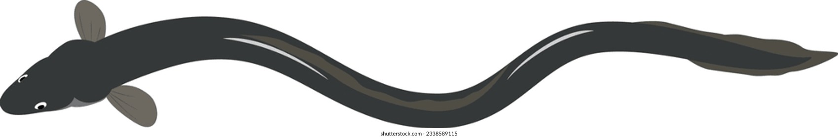 Vector illustration of swimming eel. #06