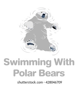 A vector illustration for Swimming With Polar Bears