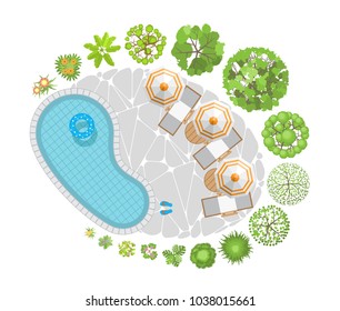 Vector illustration. A swimming pool with umbrellas, sun beds and trees. Top view. Landscape design.  View from above.