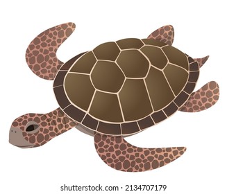 Vector illustration of swimming sea turtles