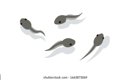 tadpoles with legs clipart images