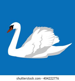 Vector illustration of a swimming white swan