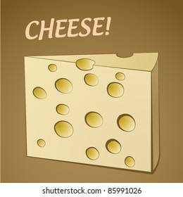 vector illustration of swiss cheese