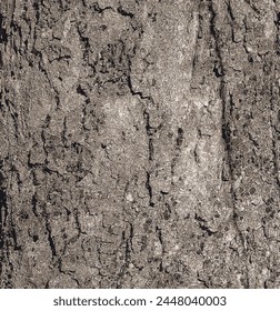 Vector illustration of Sycamore bark background. Acer pseudoplatanus L. Texture pattern for designers
