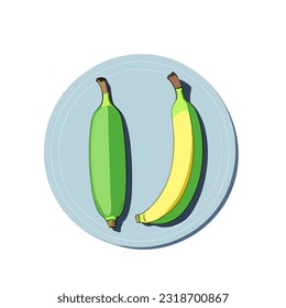 vector illustration of the symbol of two green bananas on a plate
