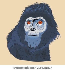 Vector illustration of T. auratus, a type of langur with jet black hair. Monkeys belonging to the Cercopithecidae tribe have limited distribution (endemic) in western Indonesia.