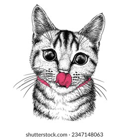 Ilustración vectorial de un gato de tabby con la lengua fuera