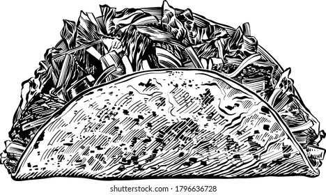 the vector illustration of the taco Mexican food