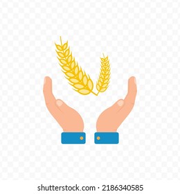 Vector illustration of take care of rice. Colored vector for website design .Simple design on transparent background (PNG).