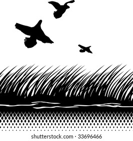 Vector illustration of a take wing partridges. Black and white.