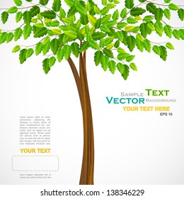 vector illustration of tall green tree