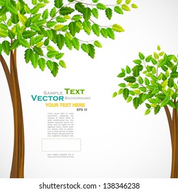 vector illustration of tall green tree