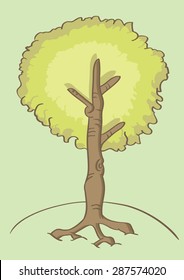 Vector illustration of a tall leafy tree deeply rooted to the ground in cartoon style with outline isolated on soothing pastel green background.